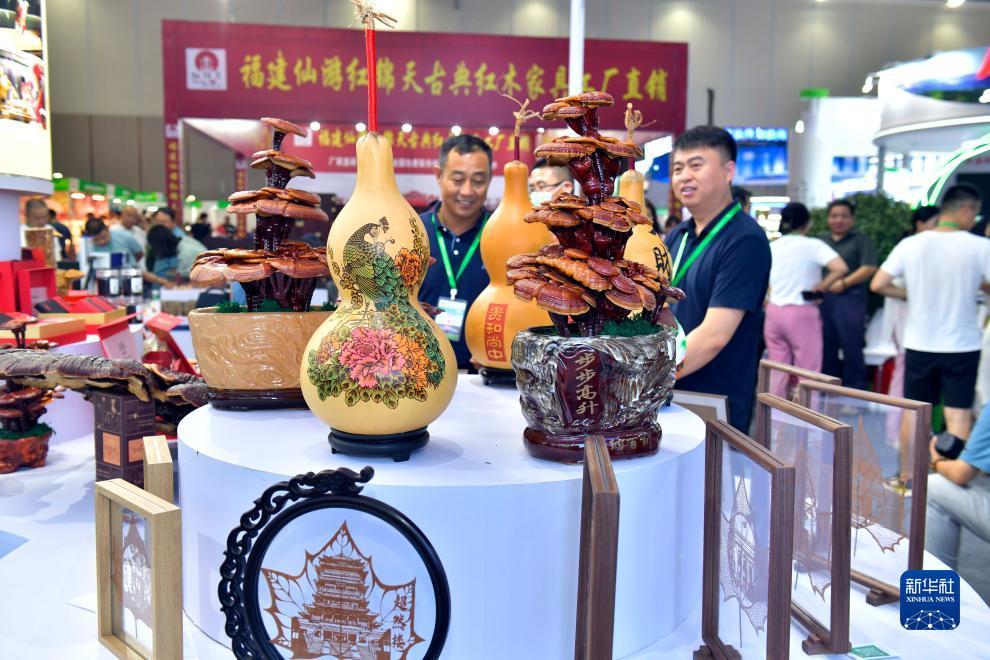 买龙和虎的那个游戏软件叫什么